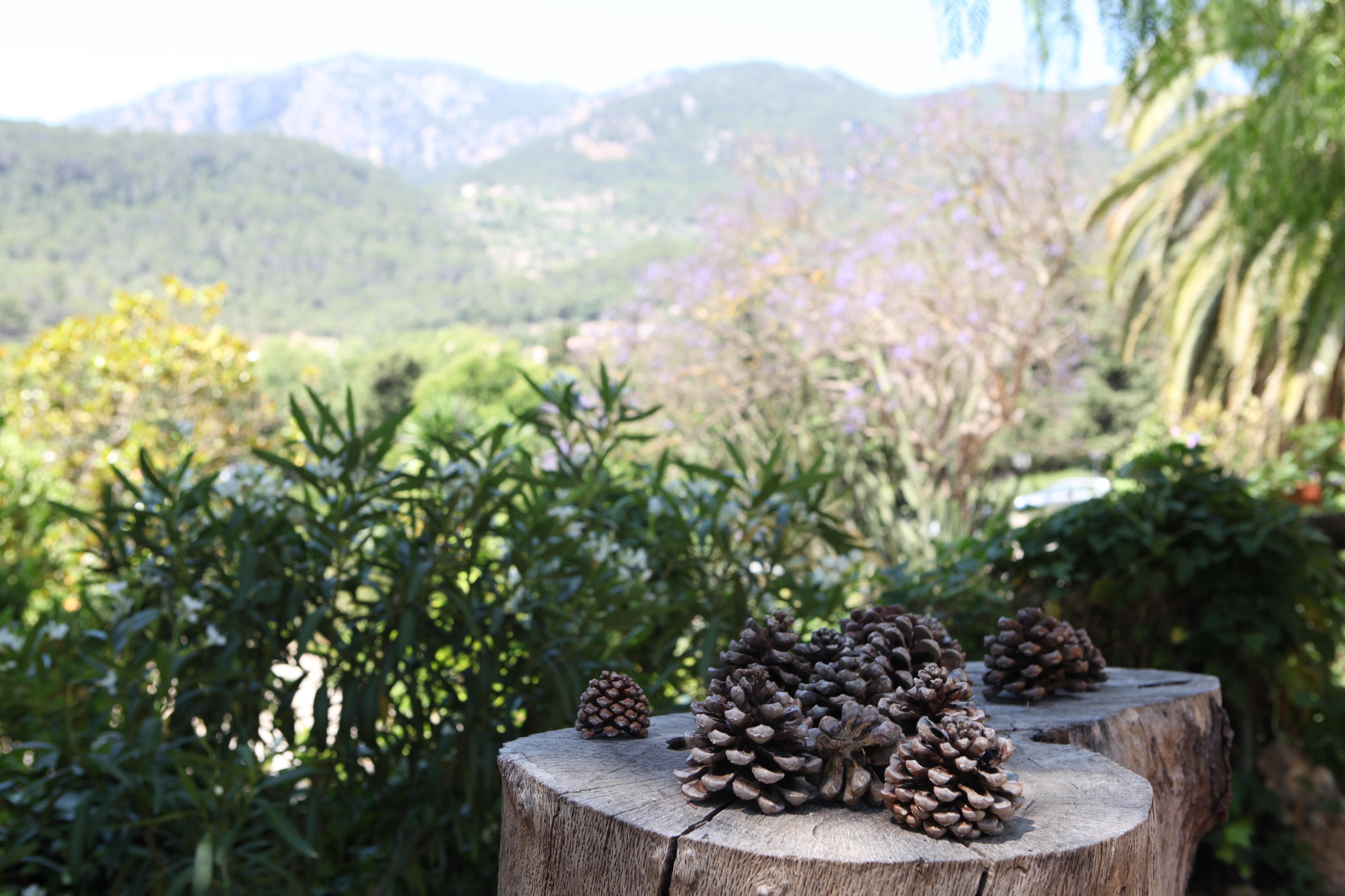 Agroturismo Son Galceran (Adults Only) Esporles Exterior photo